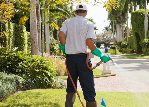 About New Hudson MI Pest Control